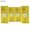 Teabox Organic Chamomile Green Tea (6 Units - 150 Teabags)